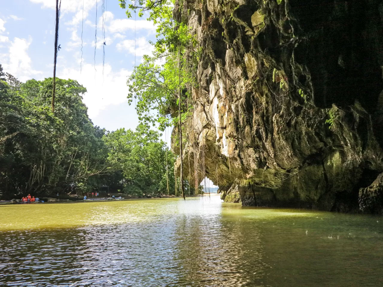 Palawan'da Büyüleyici Doğa Olayı: Yarasaların Gökyüzü Dansı Başladı