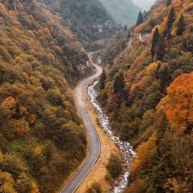 Trabzon’un Doğasında Tarihin İzinde: Santa Ruins Yolu