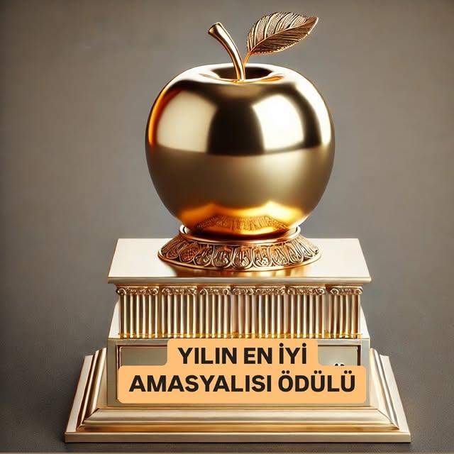 Amasya İlçelerinde Ödül Töreni Düzenlendi