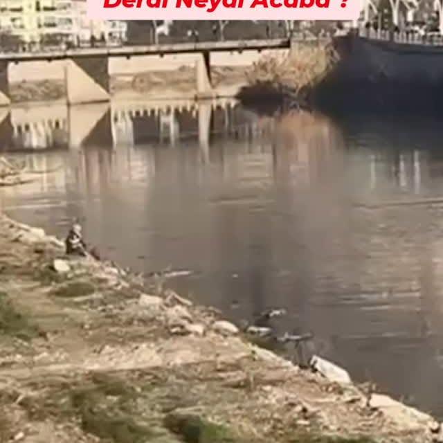 Sosyal Medyanın Gücü: Amasya'da Yaşanan Olay, 