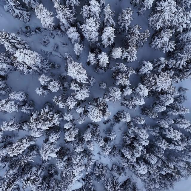 Artvin'de Kış Keyfi ve Doğa Güzellikleri