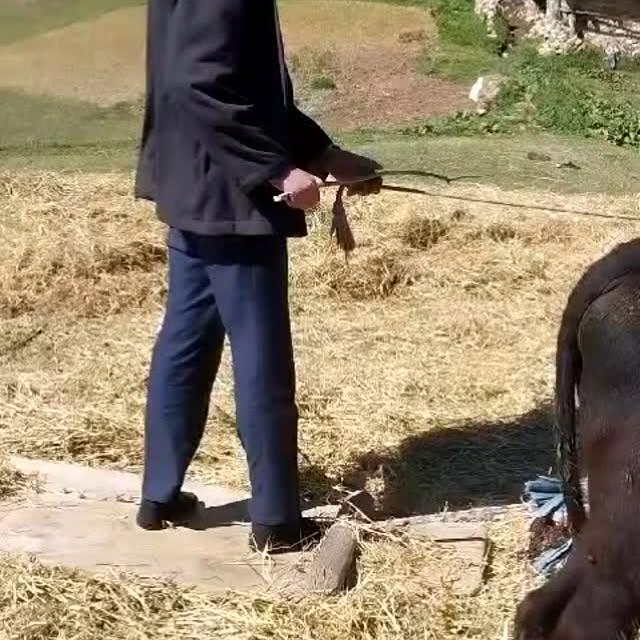 Artvin'de Nostalji Dolu Bir Yolculuk: VideoBilal Dağ ile Geçmişe Dönüş
