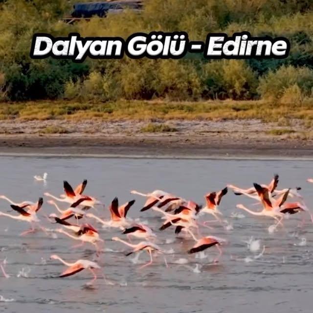 Edirne'nin Doğal Hazinesi: Enes Dalyan Gölü