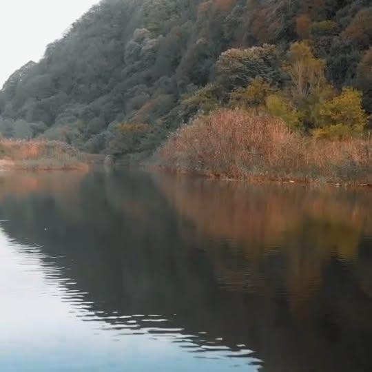 Bahar, Bartın'ı Renklerle Dolduruyor: 