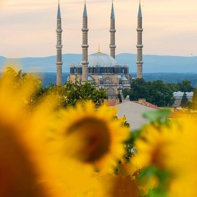 Selimiye Camii ve Ayçiçekleri, Edirne'de Büyüleyici Bir Manzara Oluşturuyor