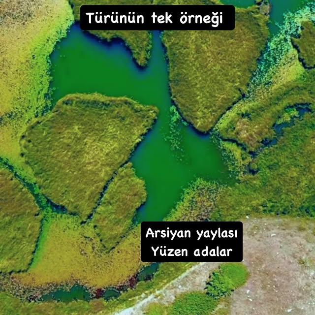 Artvin Karagöl-Sahara Gölü'nde Eşsiz Yüzen Ada Görüntüsü