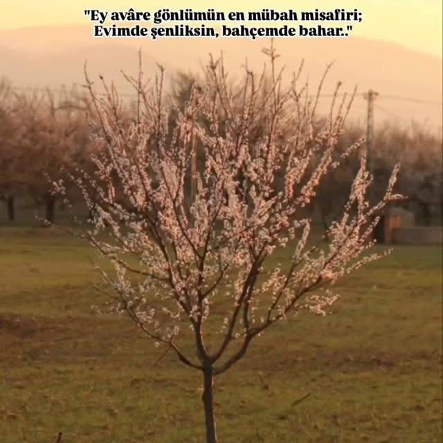 Malatya, Doğal Güzellikleri ve Mevsimsel Sürprizlerle Misafirlerini Bekliyor