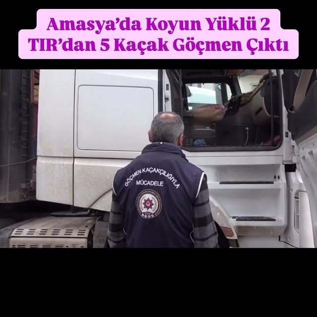 Amasya'da Koyun Yüklü TIR'larda Kaçak Göçmenler Yakalandı