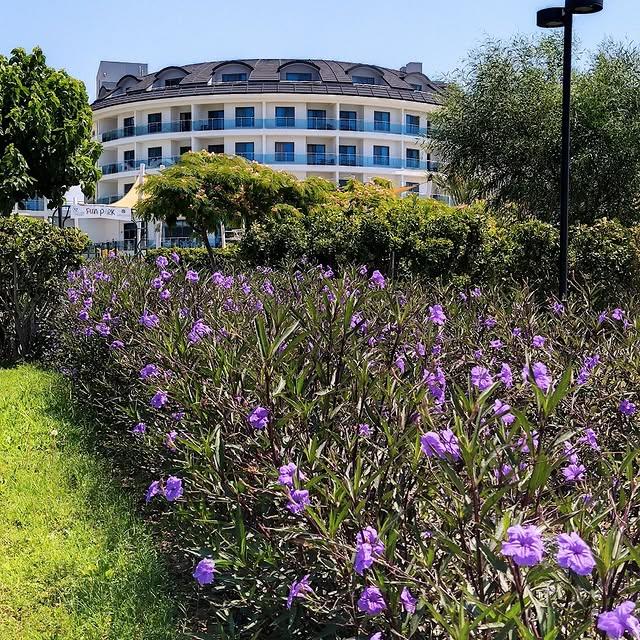 Commodore Elite Suite & Spa, Kişiye Özel Hizmet Anlayışıyla Konuklarını Ağırlıyor