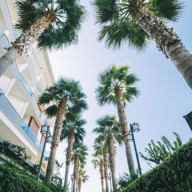 Adalya Ocean Resort'ta Tatil Keyfi: Eşsiz Deneyimler ve Lüks Konaklama