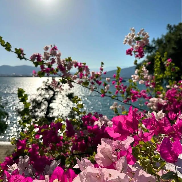 Fethiye’nin Renkli Bahçeleri, Şehrin Atmosferine Dokundu