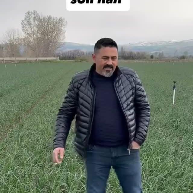 Amasya’da Tarihi Soğan Türü Ortaya Çıktı: “Amasya Keşfi”