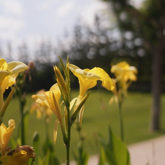 Ela Quality Resort Otelde Yangın: Konuklar Güvenli Bir Şekilde Tahliye Edildi