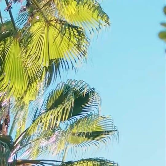 Belconti Resort’ta Yazın Doğayla Buluşun, Lükste Rahatlayın