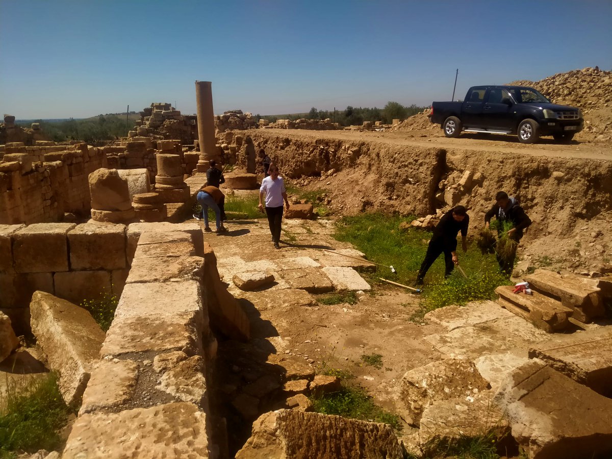 Mardin'de Dara Antik Kenti’nde 2025 Kazı Çalışmaları Başladı