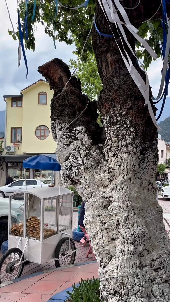 Manisa, Türkiye Kültür Yolu Festivali ile Tarihi ve Kültürel Zenginliklerini Sergiliyor