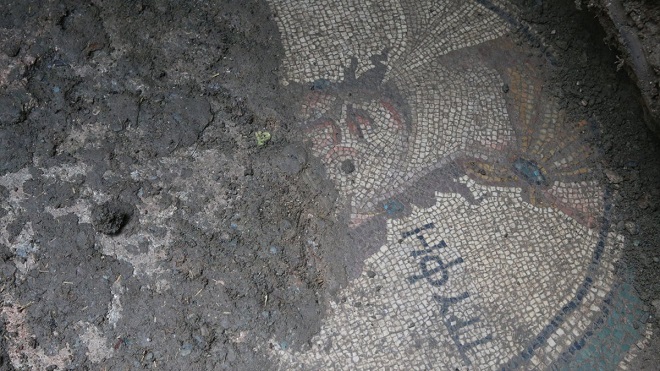 Zile'de Kaçak Kazıda Roma Dönemi Mozaiği Bulundu