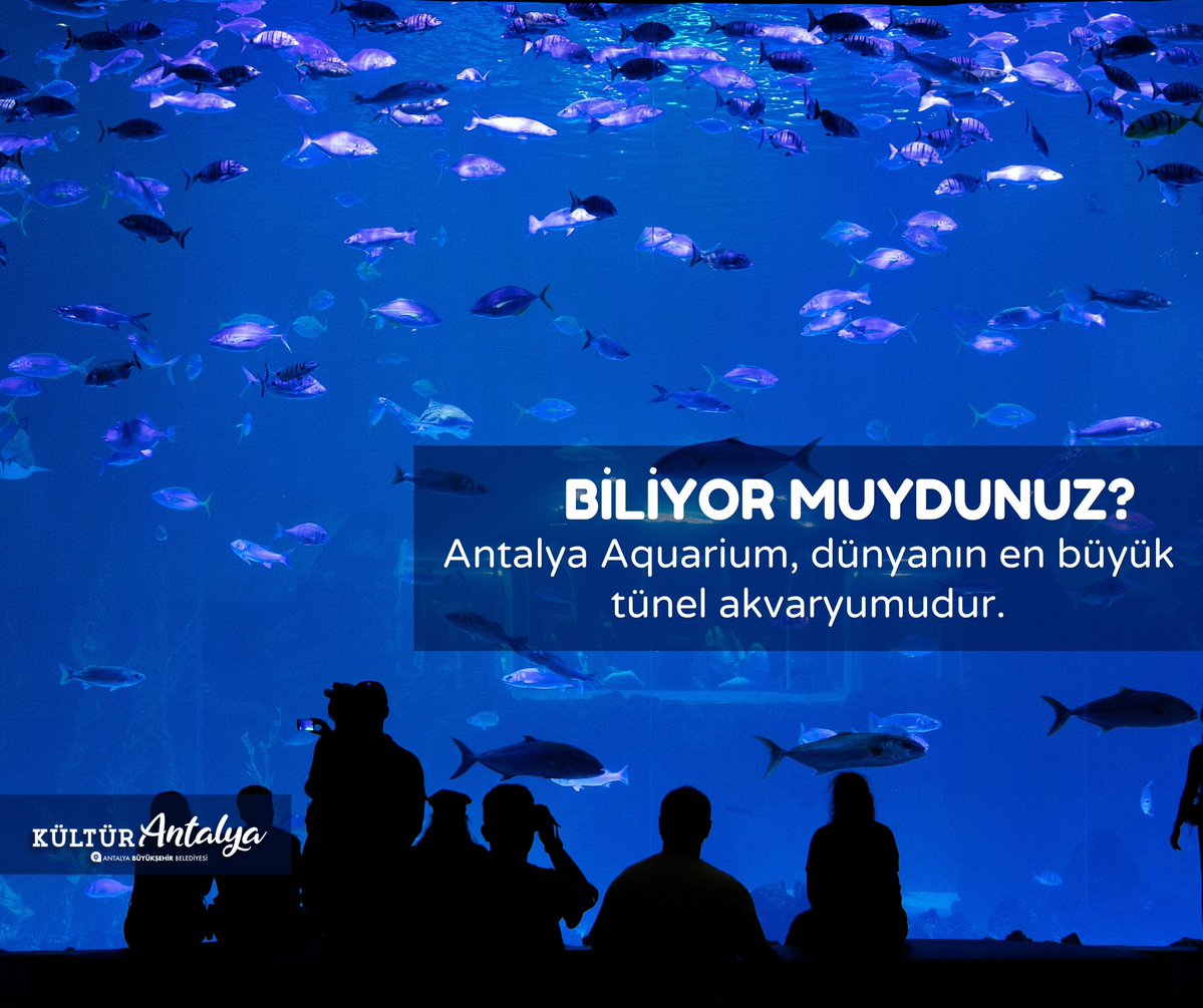 Antalya Aquarium, Dünyanın En Büyük Tünel Akvaryumu Unvanını Koruyor