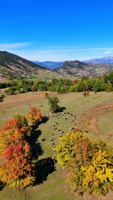 Şavşat'ta Sonbahar Turizmi Hareketlendi