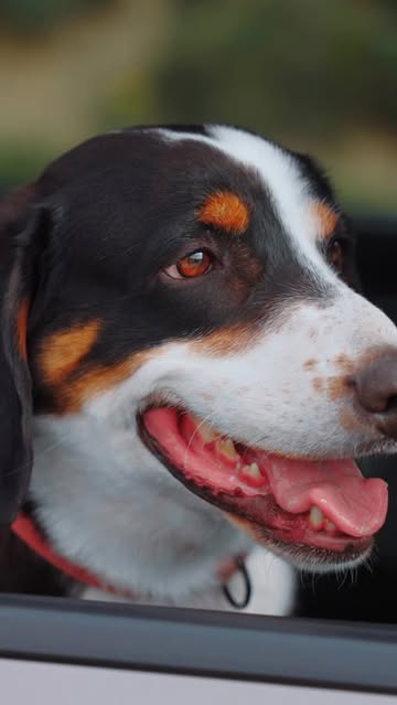 Dedeman Konya, Biyolojik Çeşitlilik ve Yaşamın Korunmasına Dikkat Çekti