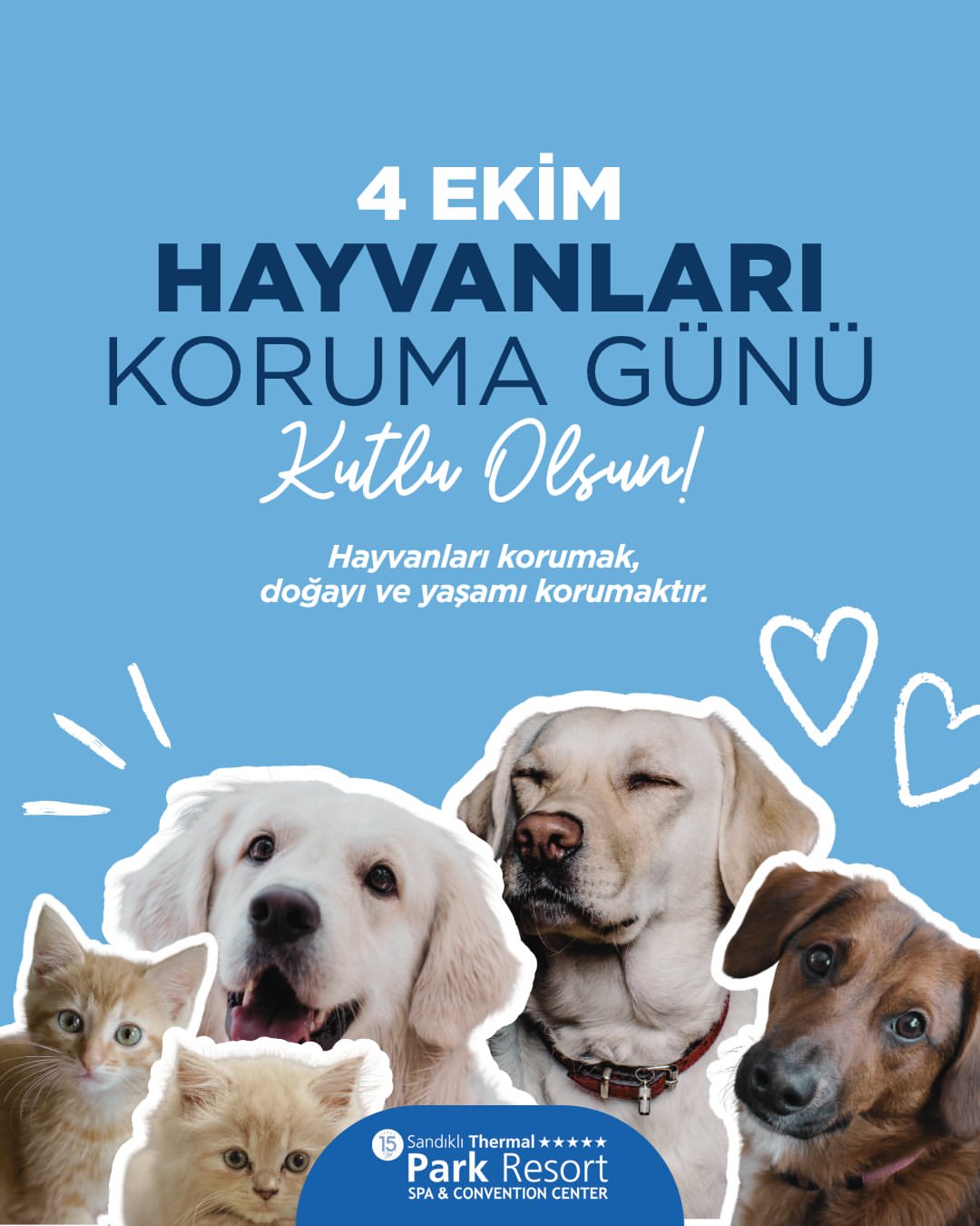 4 Ekim Dünya Hayvanları Koruma Günü'nde Doğadaki Yaşamın Önemi Vurgulandı