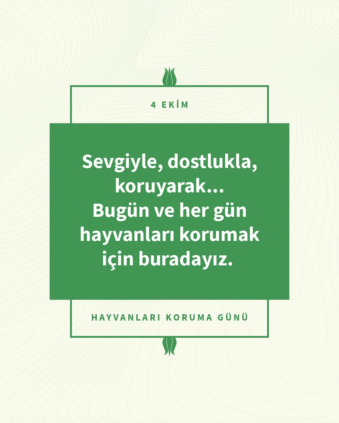 İstanbul Kültür Sanat Vakfı'ndan Hayvan Haklarına Destek Mesajı