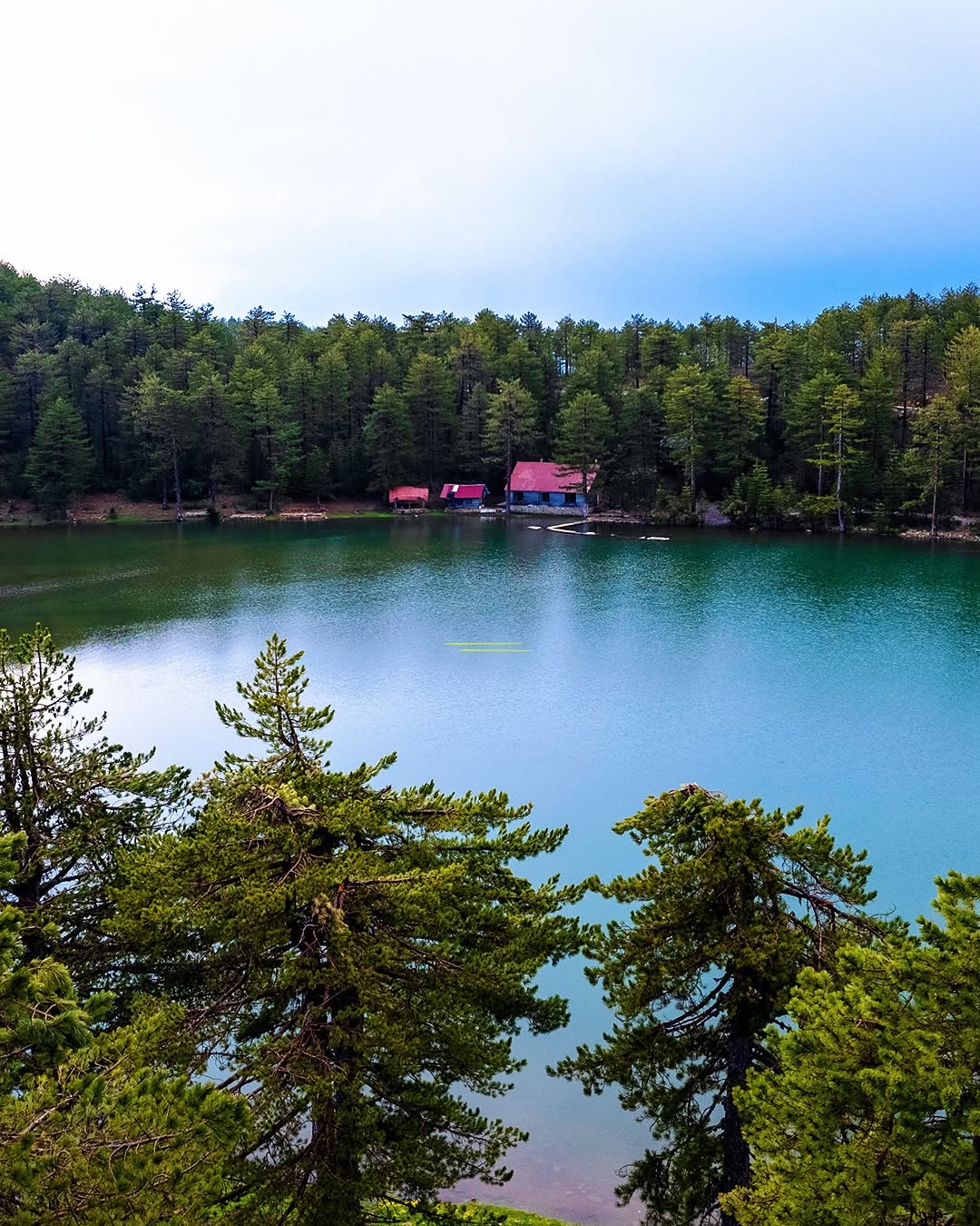 Köyceğiz: Muğla'nın Saklı Doğa Cenneti