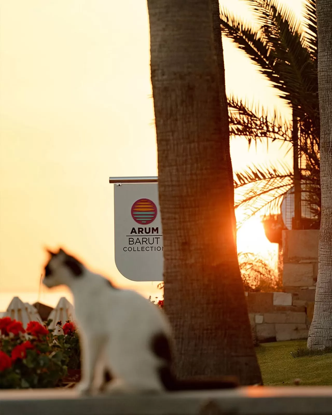 Arum Oteli, Sahil Kenarında Huzurlu Bir Konaklama Deneyimi Sunuyor