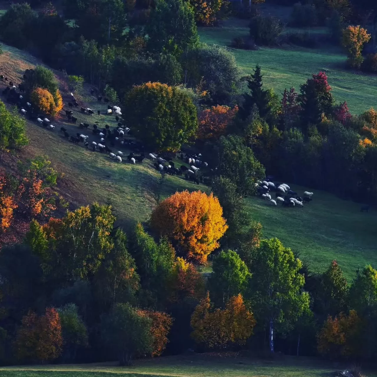 Ardanuç İlçe Halk Kütüphanesi, Bilgi ve Huzur Merkezi Olarak Hizmet Veriyor