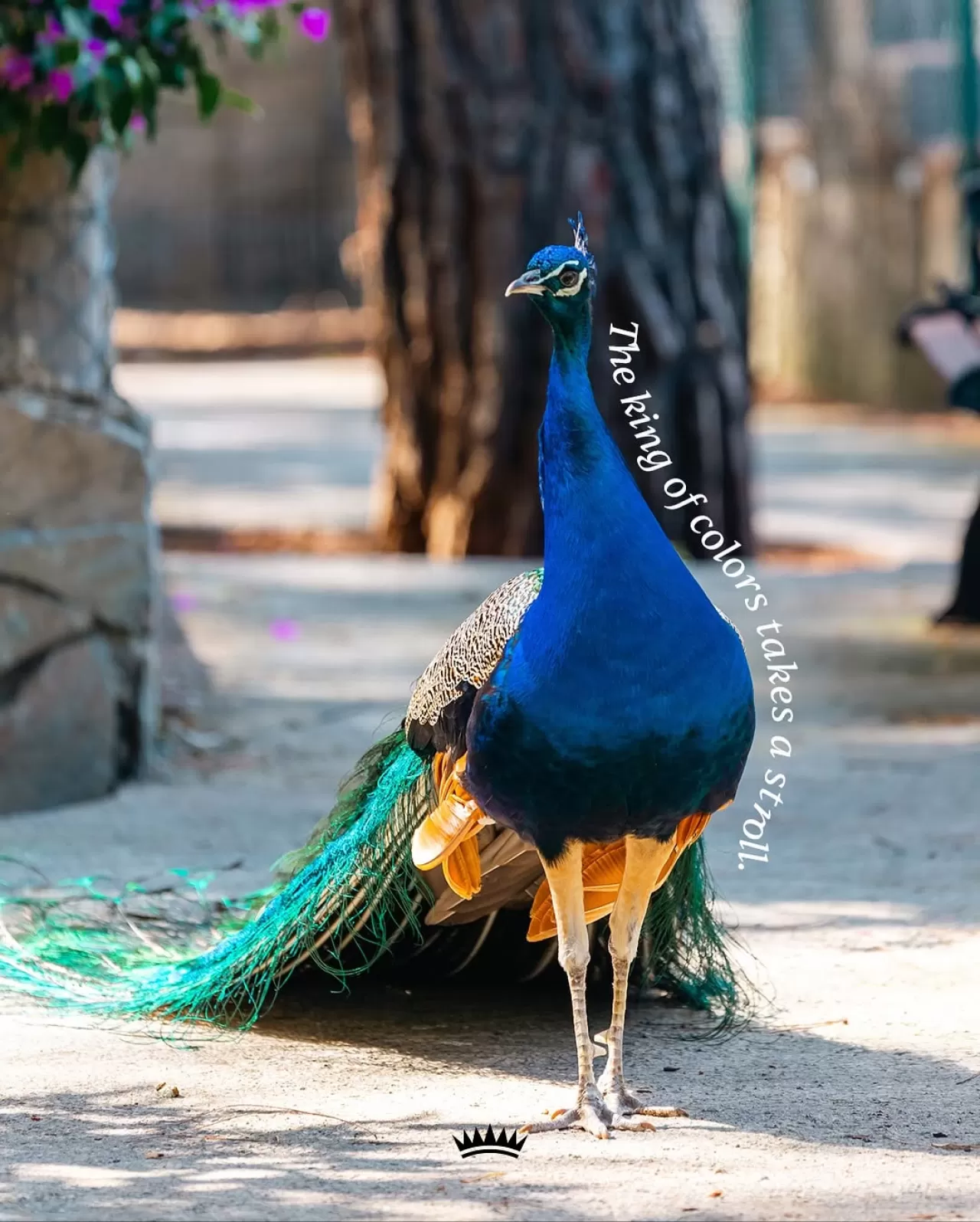 Gloria Golf Resort'tan Doğal Renkler Üzerine Bir Turizm Hamlesi