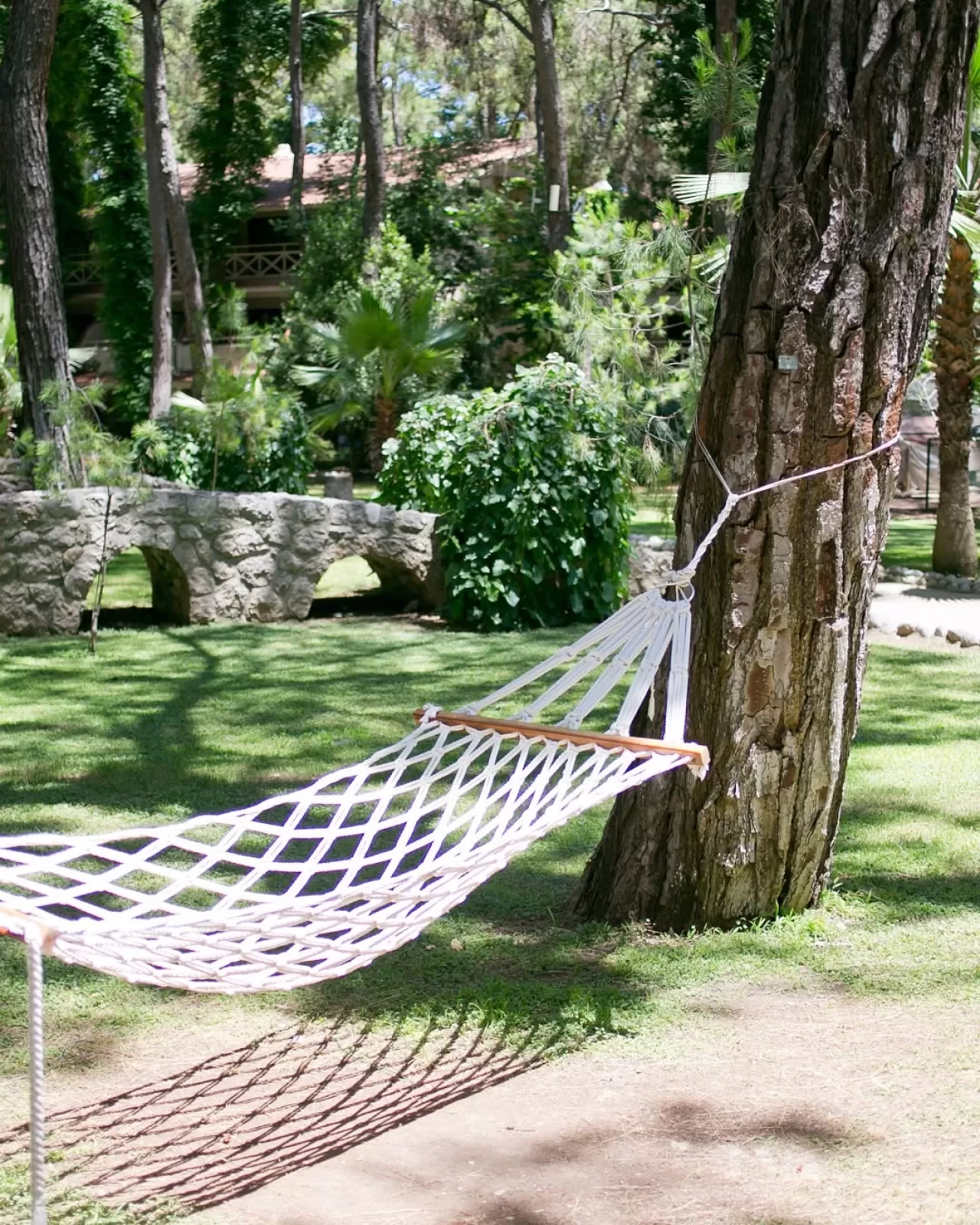 Martı Myra'da Gölge ve Dinlence Arasında Bir Bahçe Köşesi