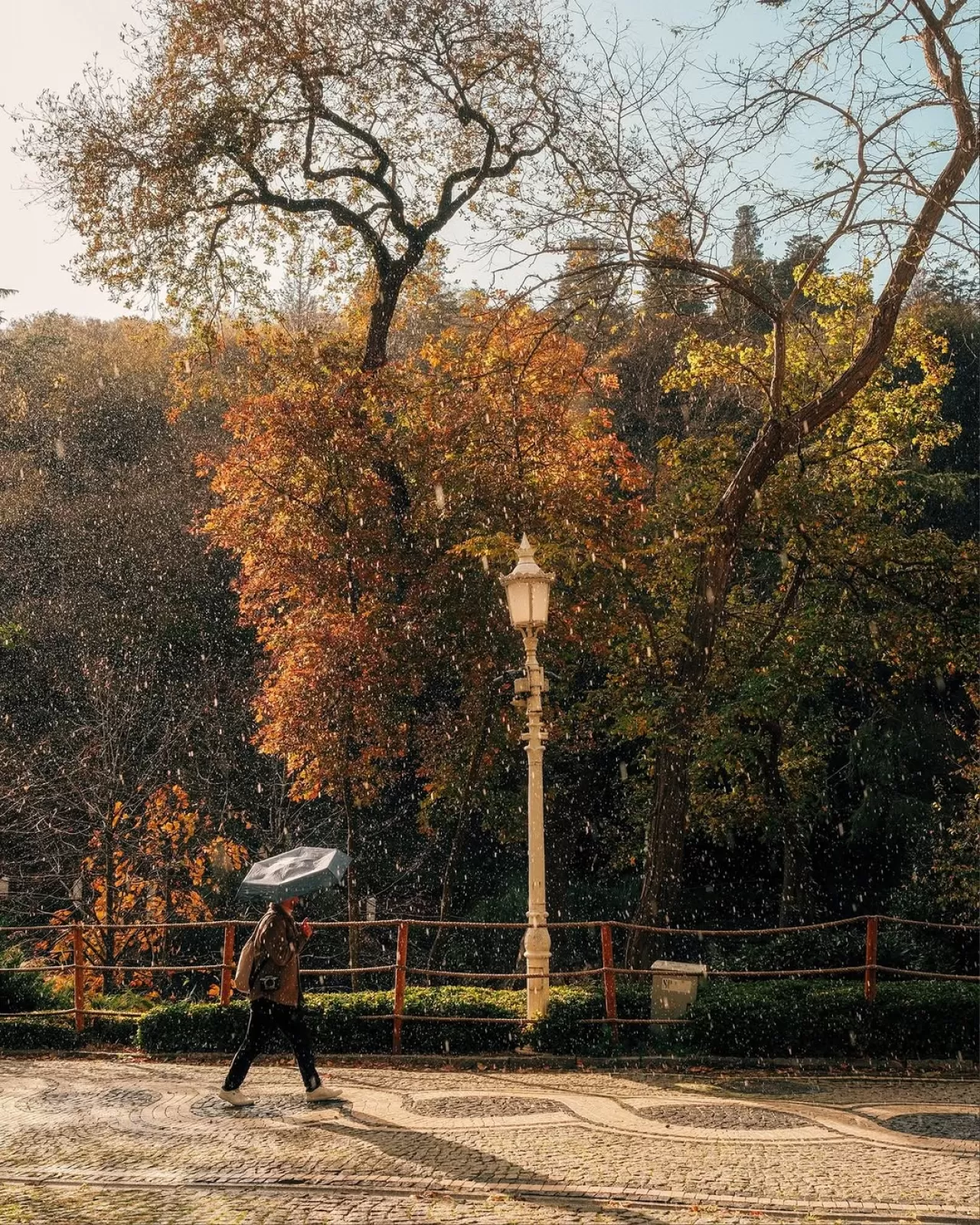 Yıldız Parkı, İstanbul'un Kalbinde Bir Doğa Sığınağı