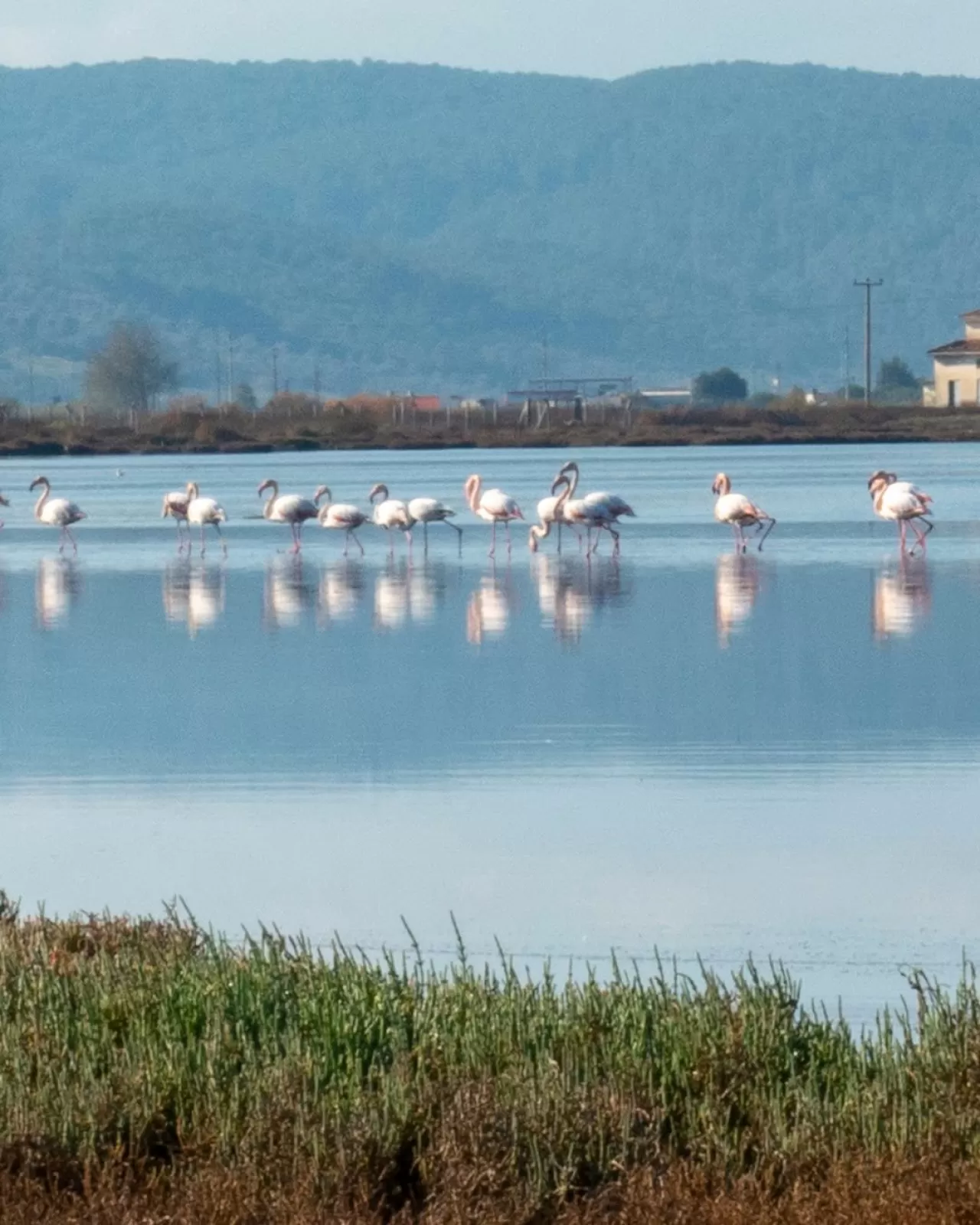 Milas'ta Tarih ve Doğa Bir Arada: Boğaziçi Köyü ve Bargilya Antik Kenti