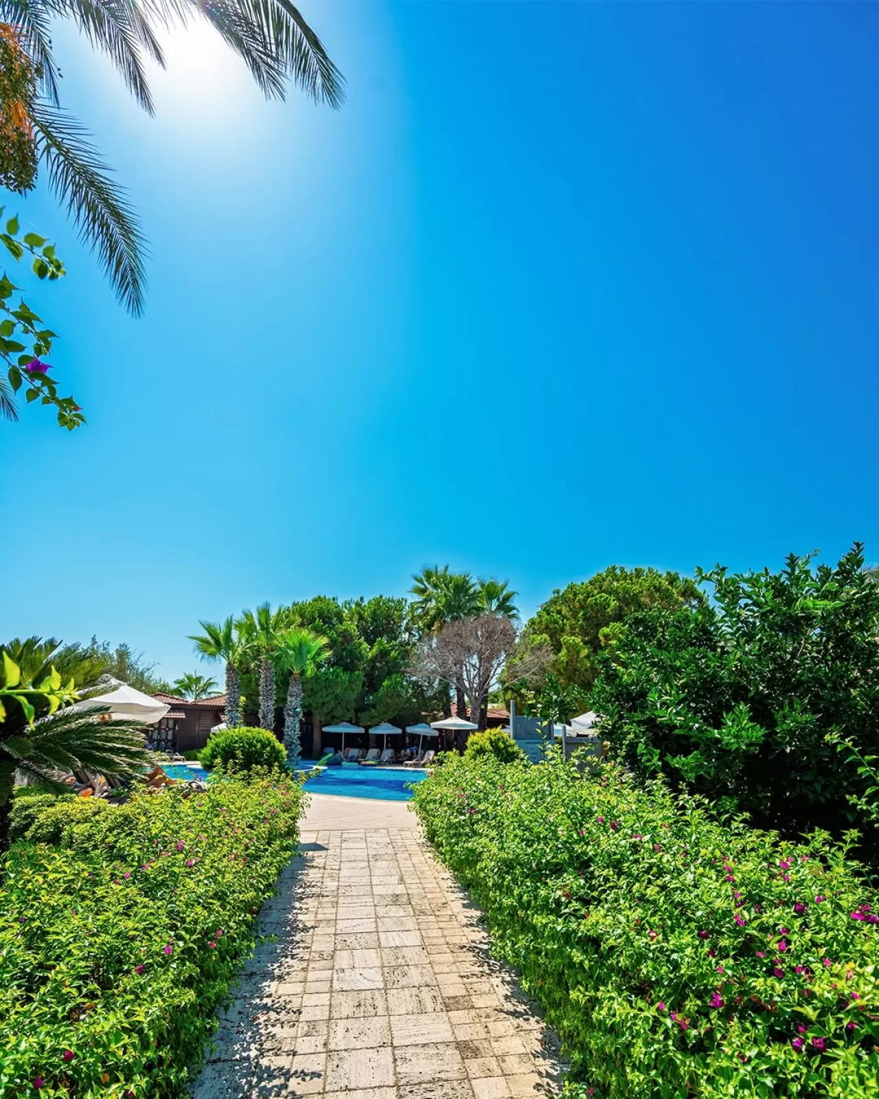 Club Calimera Serra Palace'tan Yeni Tanıtım: Tropikal Cennet Vurgusu